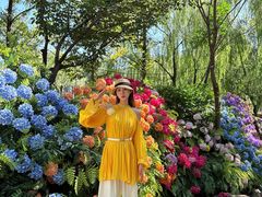 -沂蒙云瀑洞天景区