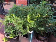 -三宅一生咖啡馆·咖啡培训(金雄达园区店)