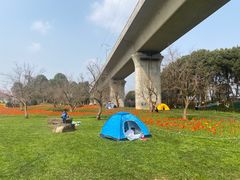 -秀丽东方