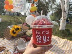 -金海湾滨江公园