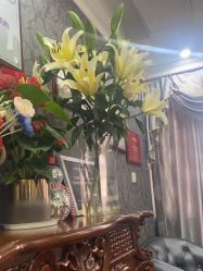 -深圳阳光医疗美容医院·旗舰店