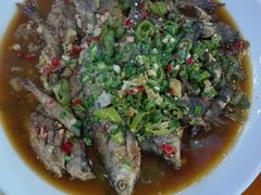 -全乐鱼馆·淳牌有机鱼直营店