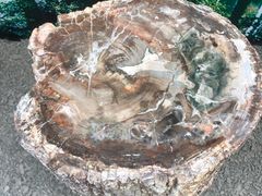 -延庆地质公园博物馆