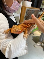 -酷嗒动物文化乐园(cutezoo西溪乐天城店)