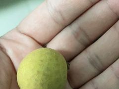 泰国A级龙眼-切果匠(运河上街店)