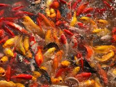 -泰安地下龙宫景区