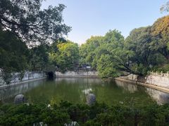 -柳侯公园