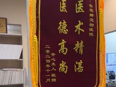 -安琪娜动物医院•健康管理•骨科•急重症诊疗中心