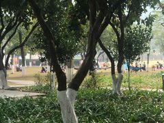 -火炉山森林公园