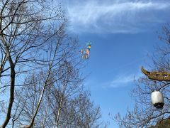 -宜兴龙背山森林公园