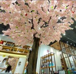 -简影造型·自选烫染接发salon