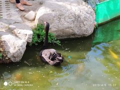 -西安秦岭野生动物园