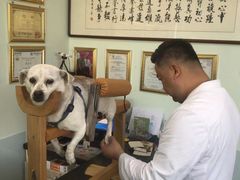 -美联众合动物医院(唯恩分院)