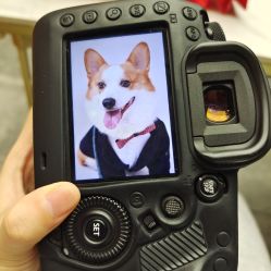 -花漾摄影优选工作室(东莞原创作品店)