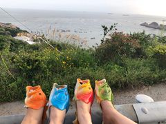 -枸杞岛