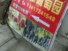-马陆小张葡萄园农家乐