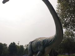 -中国西峡恐龙遗迹园