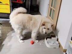 -肆兮眼镜·蔡司·徕卡战略合作店(大坪店)