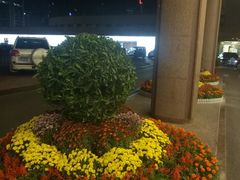 -北京中国大饭店