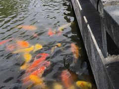 -上海大学(宝山校区)