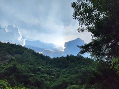 -广州白江湖森林公园