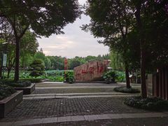 -陈家山荷花公园