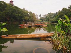 -深圳仙湖植物园-停车场