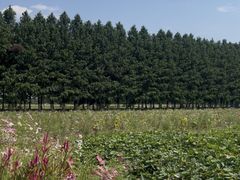 -嘉北郊野公园