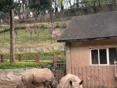 -重庆动物园·东二门售票处