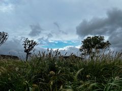 -良渚古城遗址公园