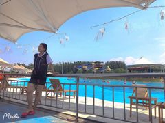 -海盗传奇水世界