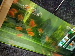 -华夏良子·足道SPA艾灸(王府井店)