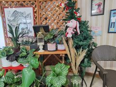 -Rabbit Cafe私房西餐甜点咖啡(栖霞路店)