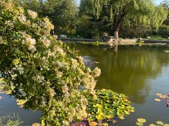 -国家植物园南园