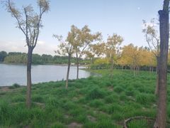 -东郊湿地公园