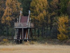 -塞罕坝国家级自然保护区