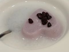 -喜上喜鸡煲翅(吉大店)