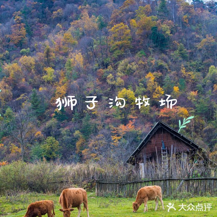 秦岭赏秋 | 这个十一假期,去看秦岭漫山红叶❗