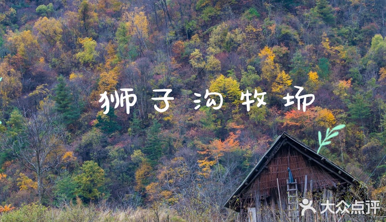 秦岭赏秋 | 这个十一假期,去看秦岭漫山红叶❗
