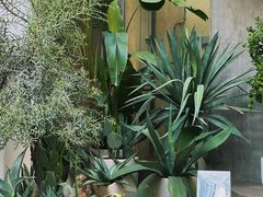 -洪小鹏生活美学馆(领SHOW天地店)