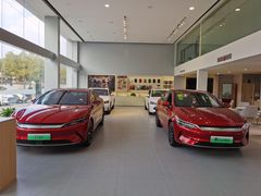 -比亚迪汽车(上海弘仁集团闵行店)