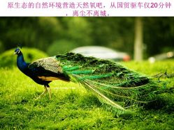 点击看大图 -月来悦好国际月子会所