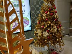 -银座mall(东直门店)