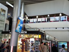 -谢列梅捷沃国际机场