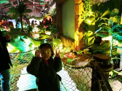 -恐龙探索乐园(磁器口店)