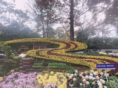 -杭州植物园