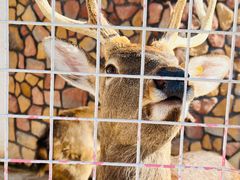 -金庭庄园酒店-停车场