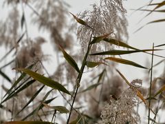 -朝阳公园