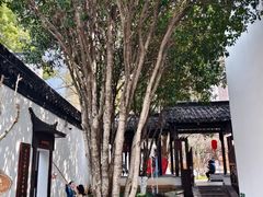 -南京市民俗博物馆(甘熙故居)