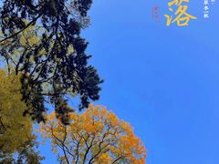 -潭柘寺景区